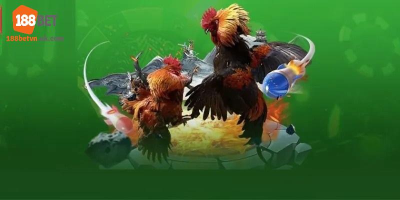 Đá gà 188Bet thu hút khi chiến kê được gắn thêm cựa sắt