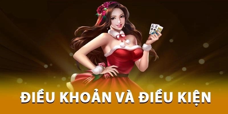 Tổng quan về các điều khoản được quy định tại nền tảng